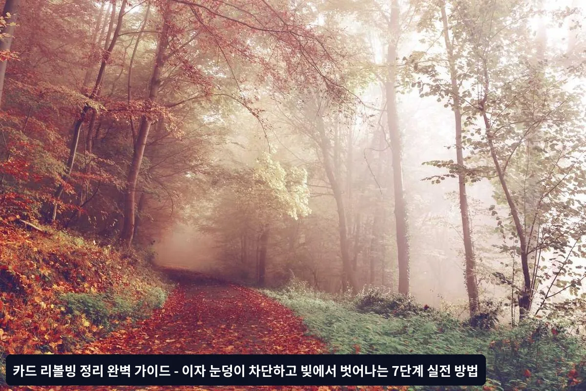 7단계 리볼빙 정리 실전 전략