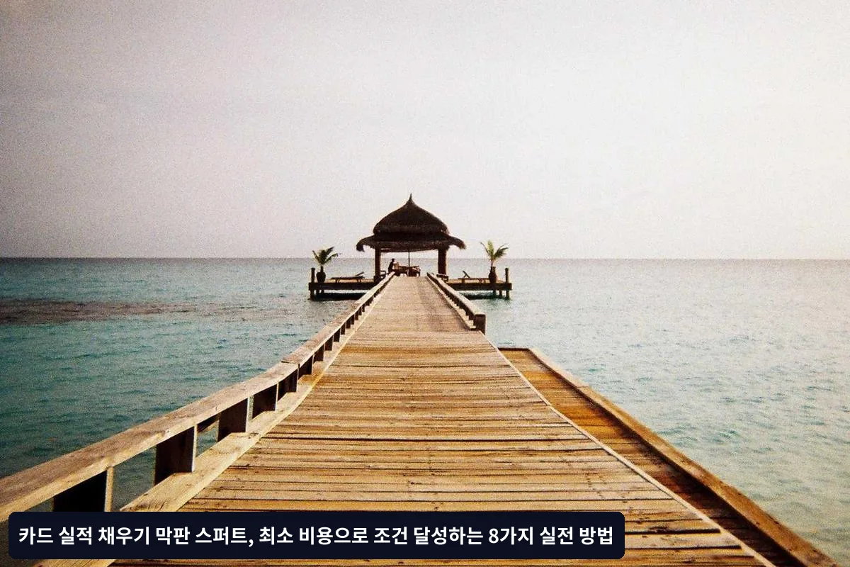 카드사별 실적 인정 기준과 특이사항