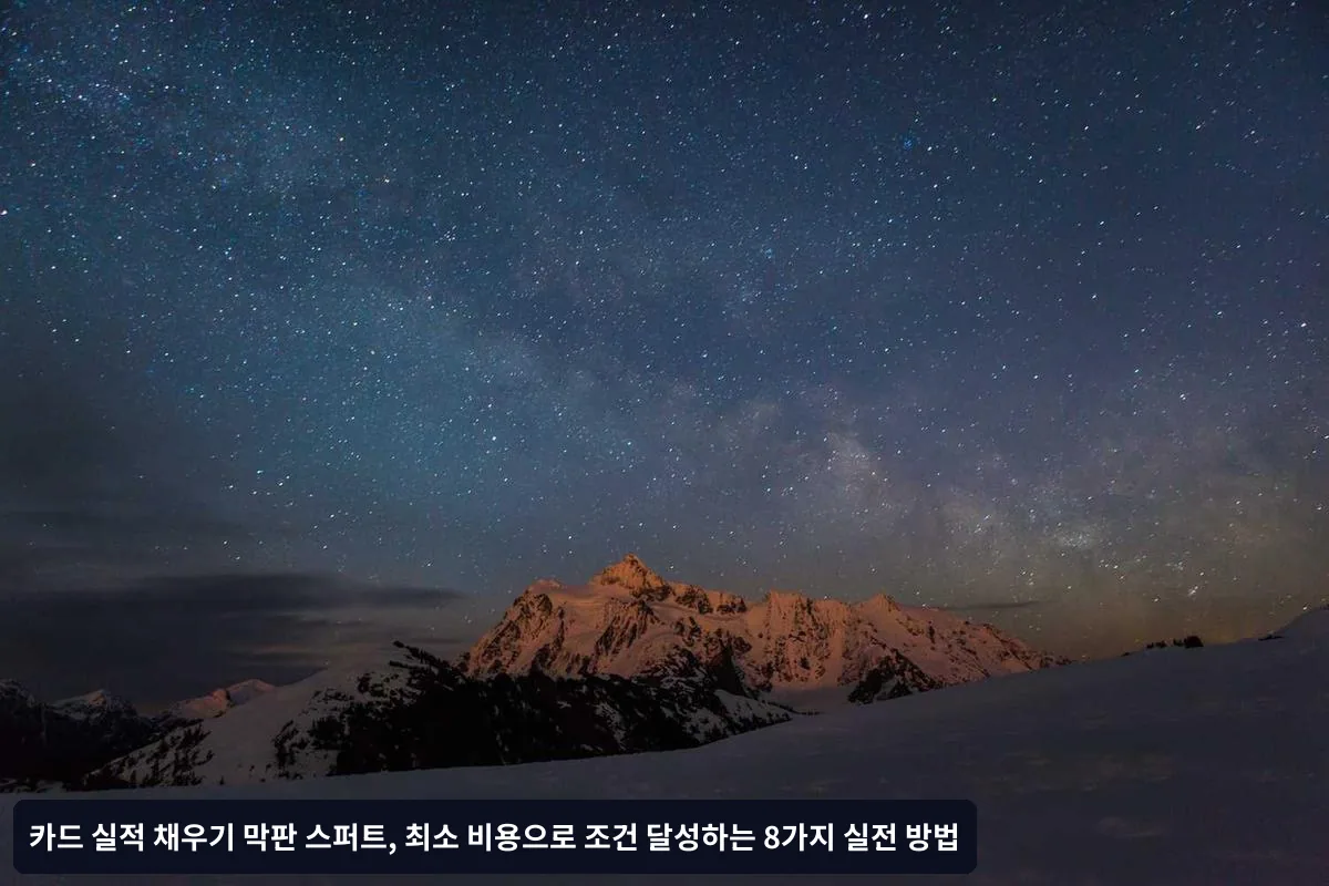 자주 묻는 질문 (FAQ)
