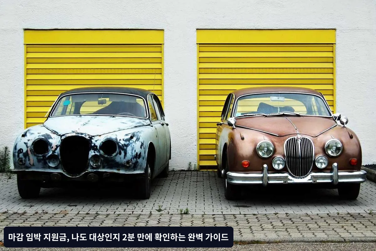 신청 시 주의사항과 실무 팁