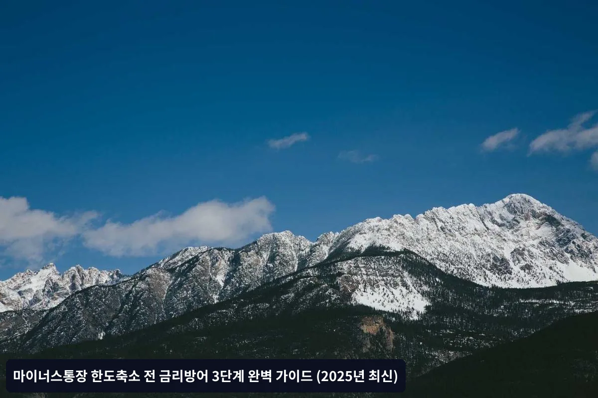 자주 묻는 질문과 전문가 답변