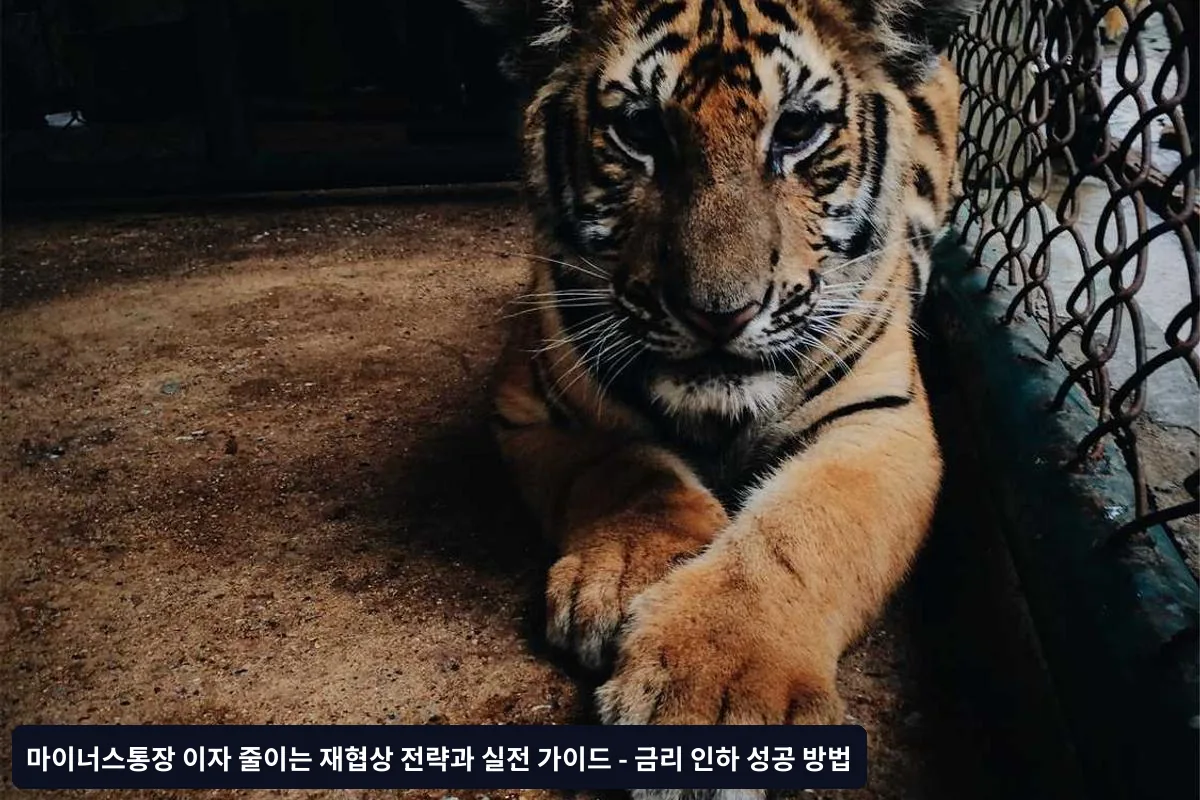 성공률 높은 재협상 전략