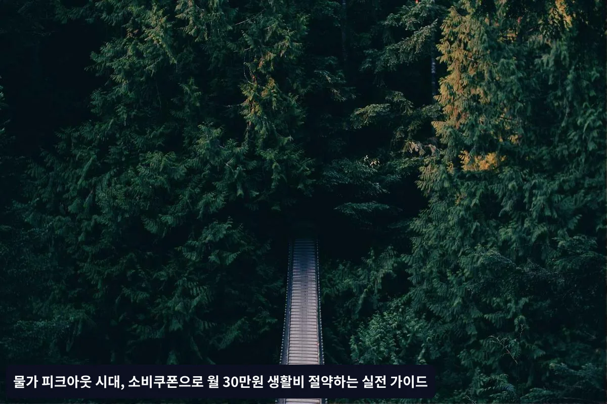 4단계: 온라인 쇼핑 쿠폰 극대화 전략