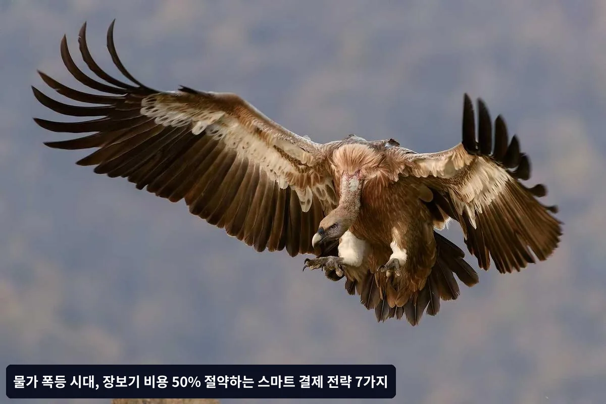 📱 적립금과 포인트 최대화 전략