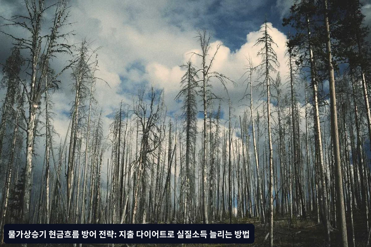 흔한 실패 패턴들