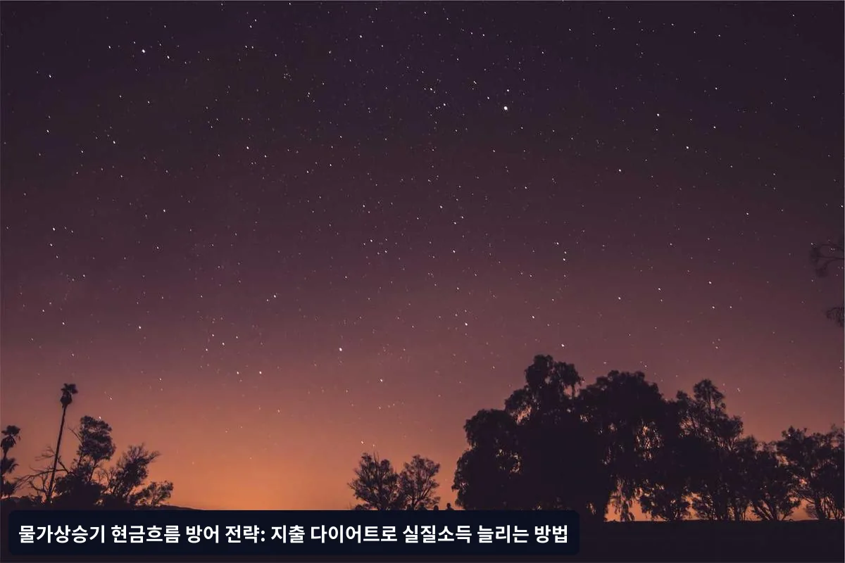 실제 적용 사례와 성과