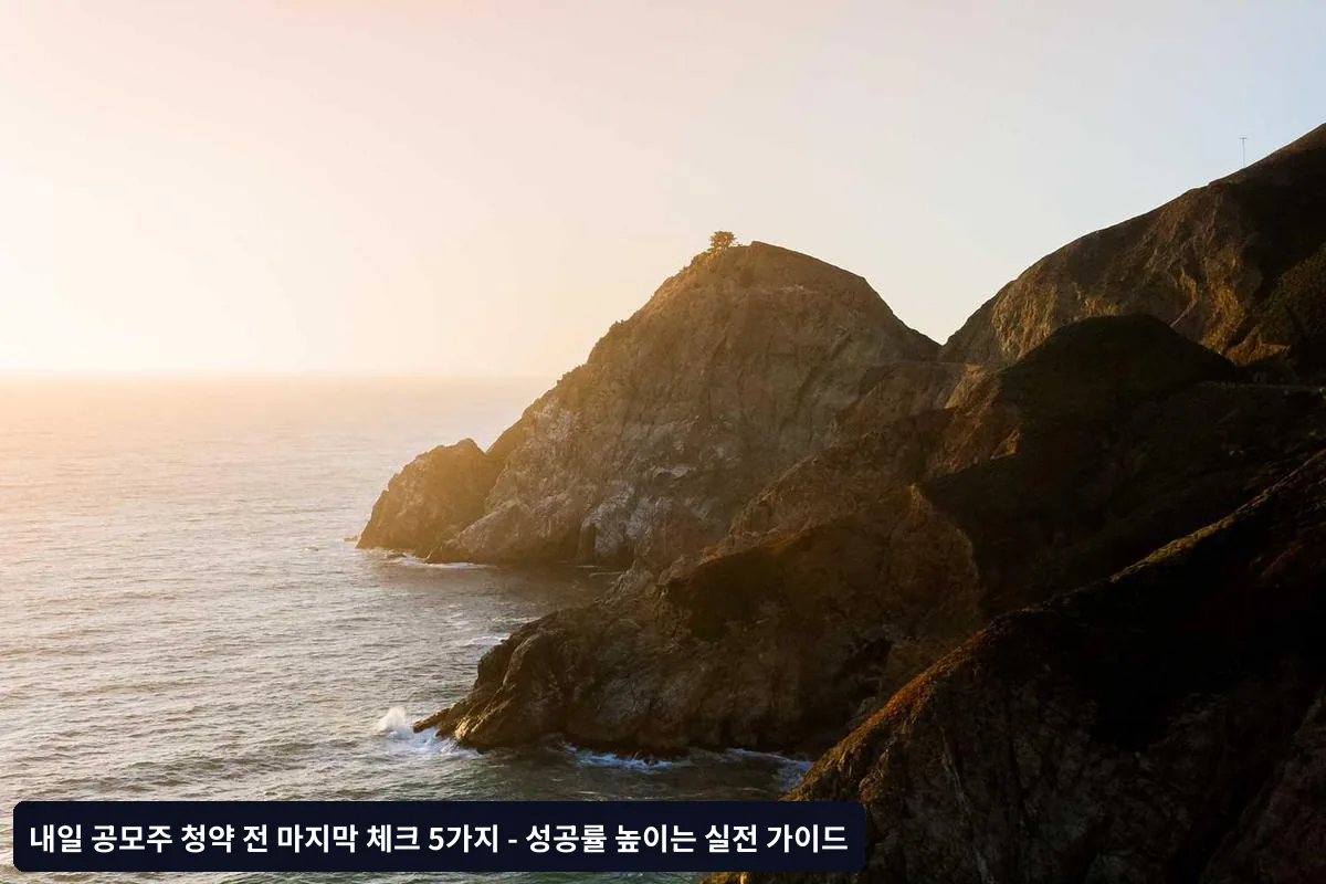 세무 관련 정보 점검