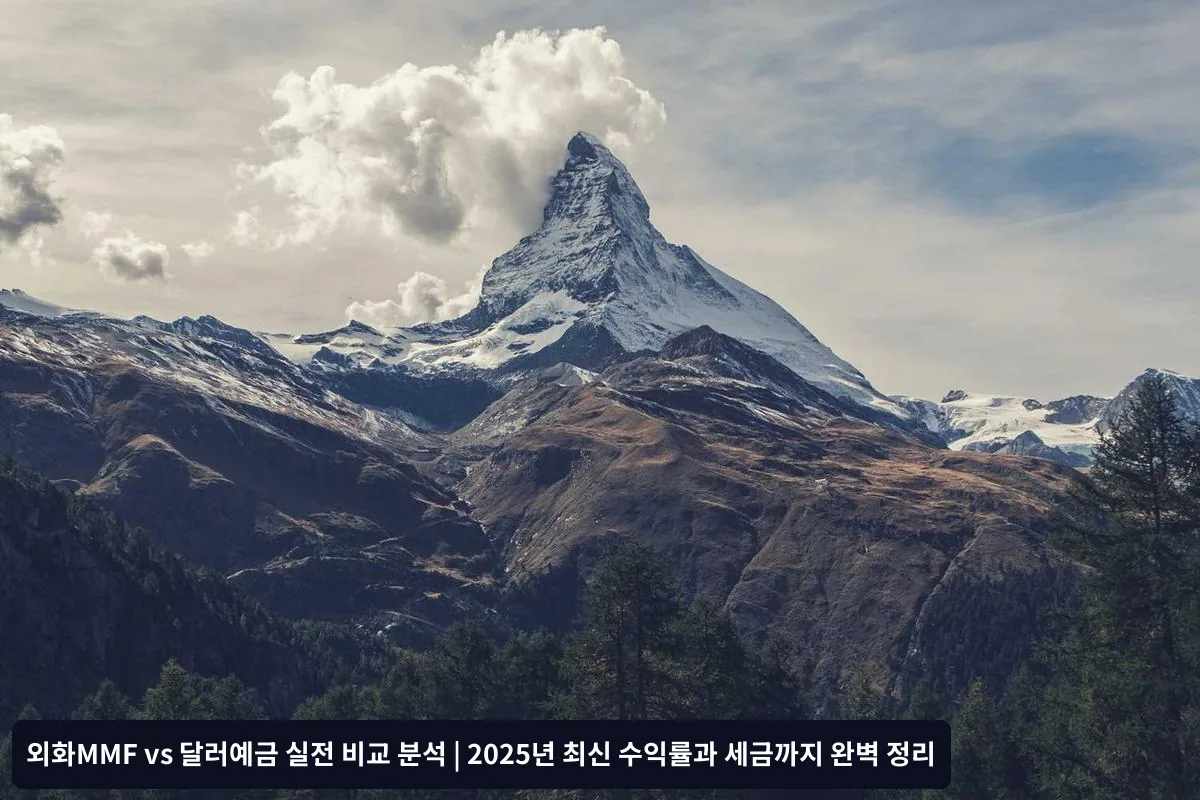 외화MMF가 유리한 경우