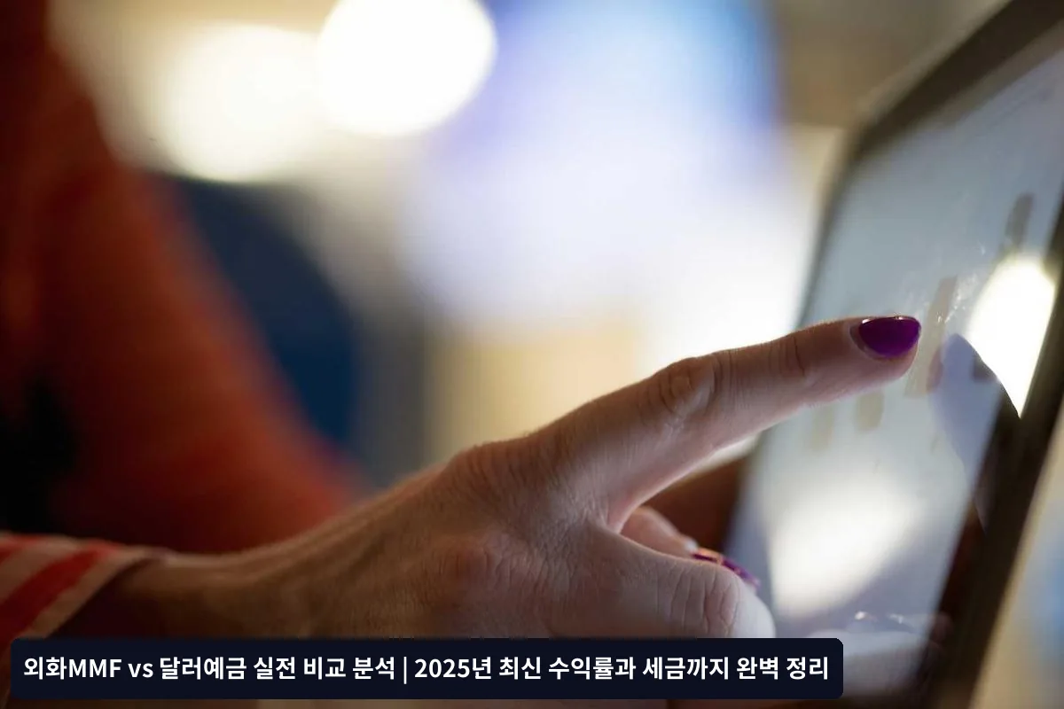 미국 금리 전망