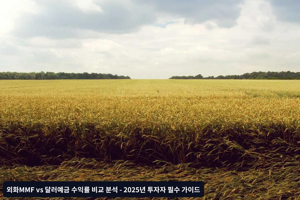 투자 전 필수 체크리스트