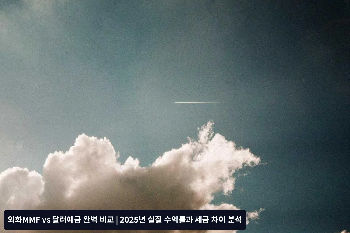 실질 수익률 비교 분석 (2025년 기준)