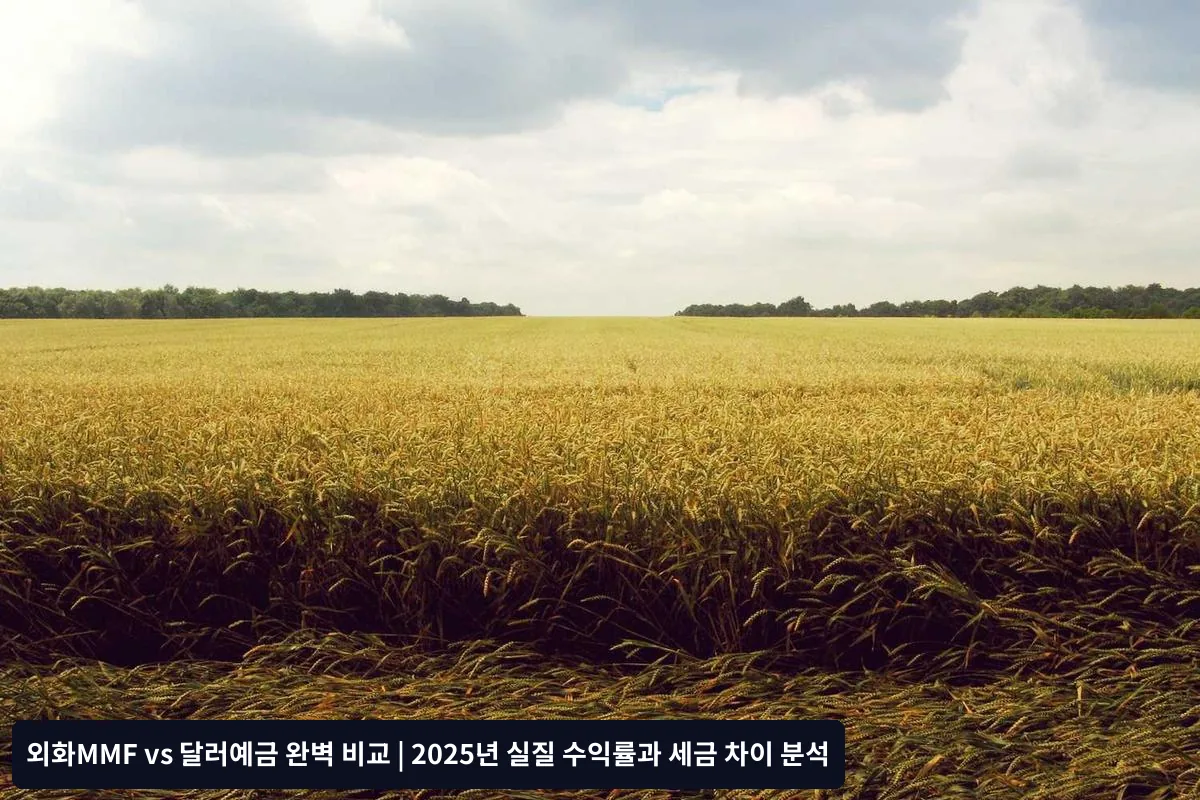 실제 투자 시 체크리스트