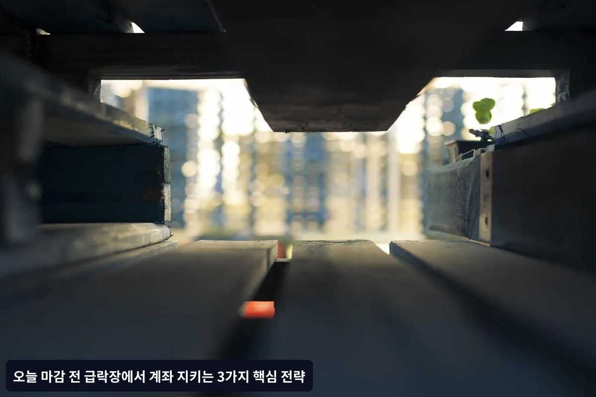 심리 통제 실전 기법