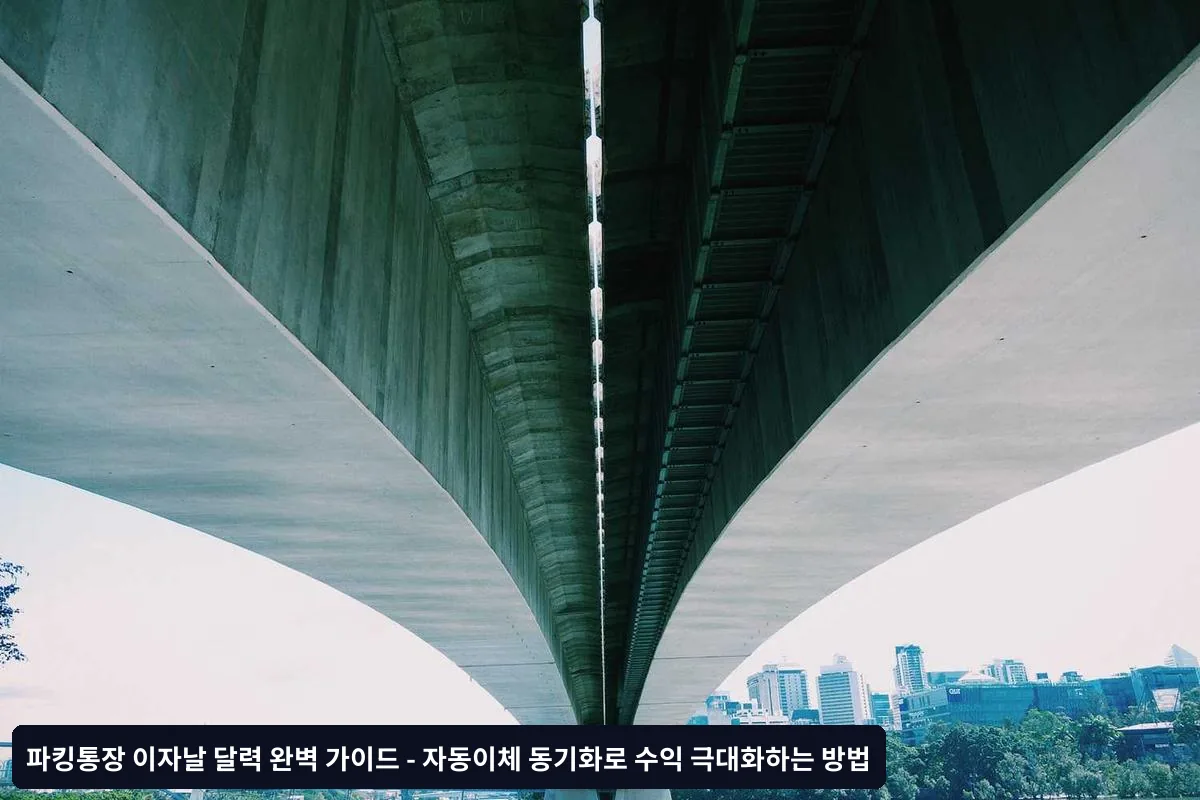 실제 적용 사례