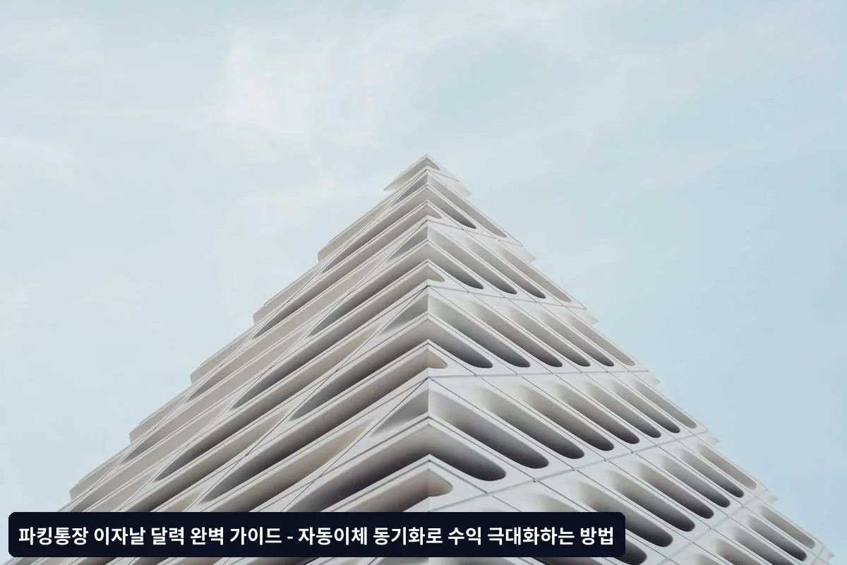 다중 파킹통장 운용법