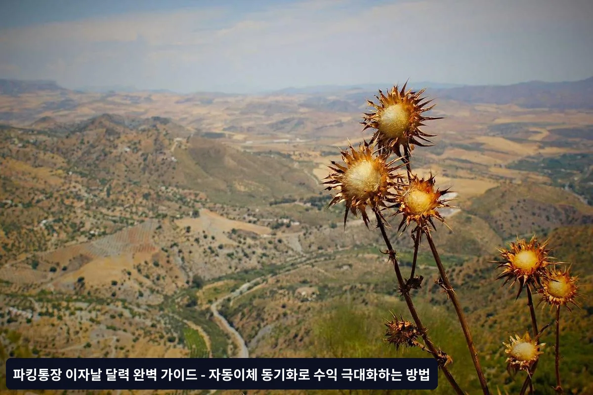 수익성 점검