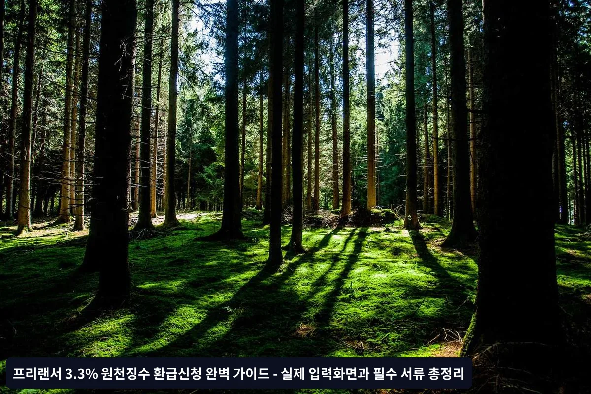 3단계: 필요경비 입력