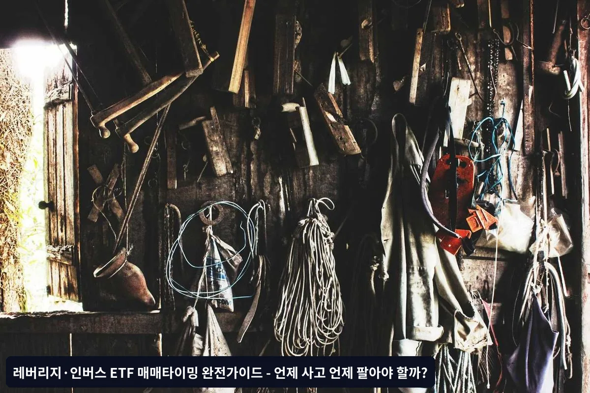 실제 투자 사례와 교훈