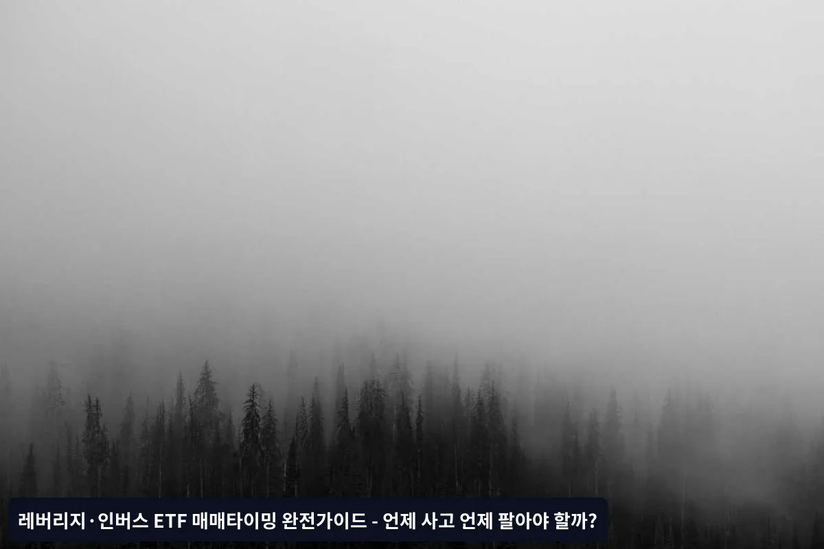 종목별 특성과 선택 기준