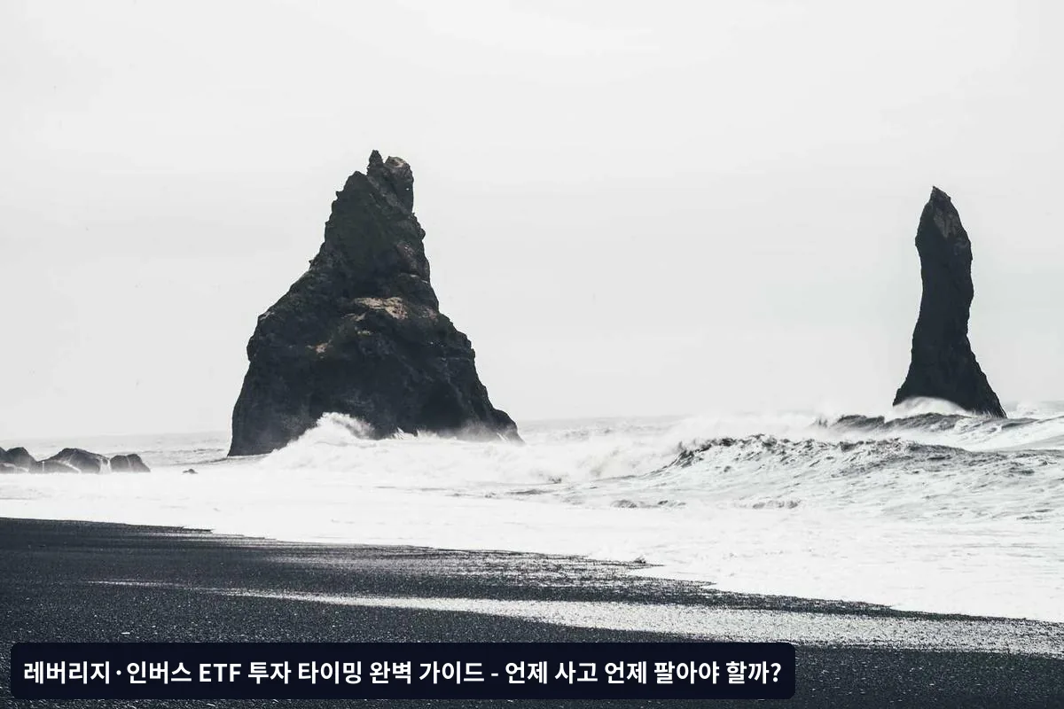 보유 중 모니터링 사항