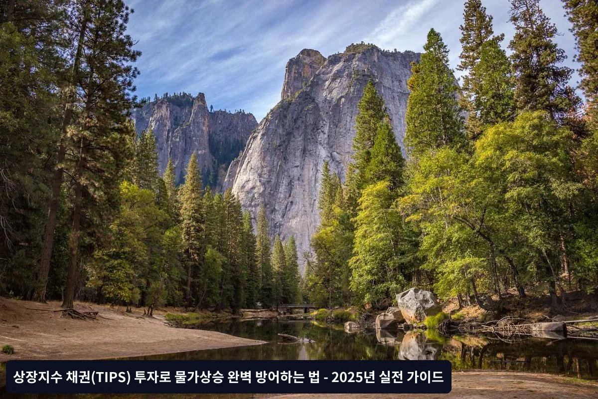 TIPS 투자 실행 체크리스트