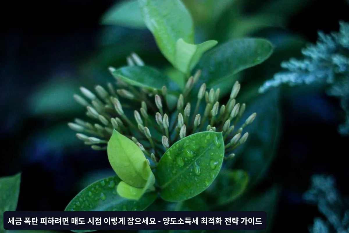 같은 해 내 수익과 손실 상계하기