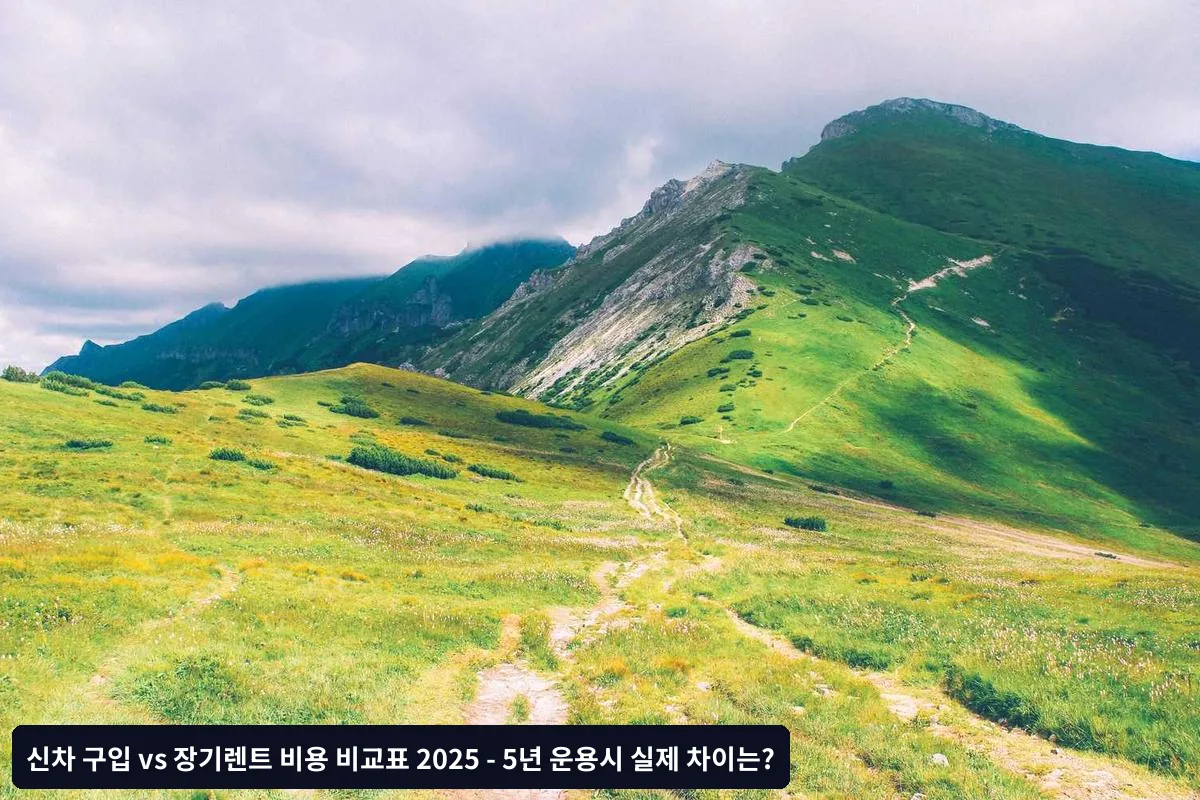 장기렌트 추가 고려사항