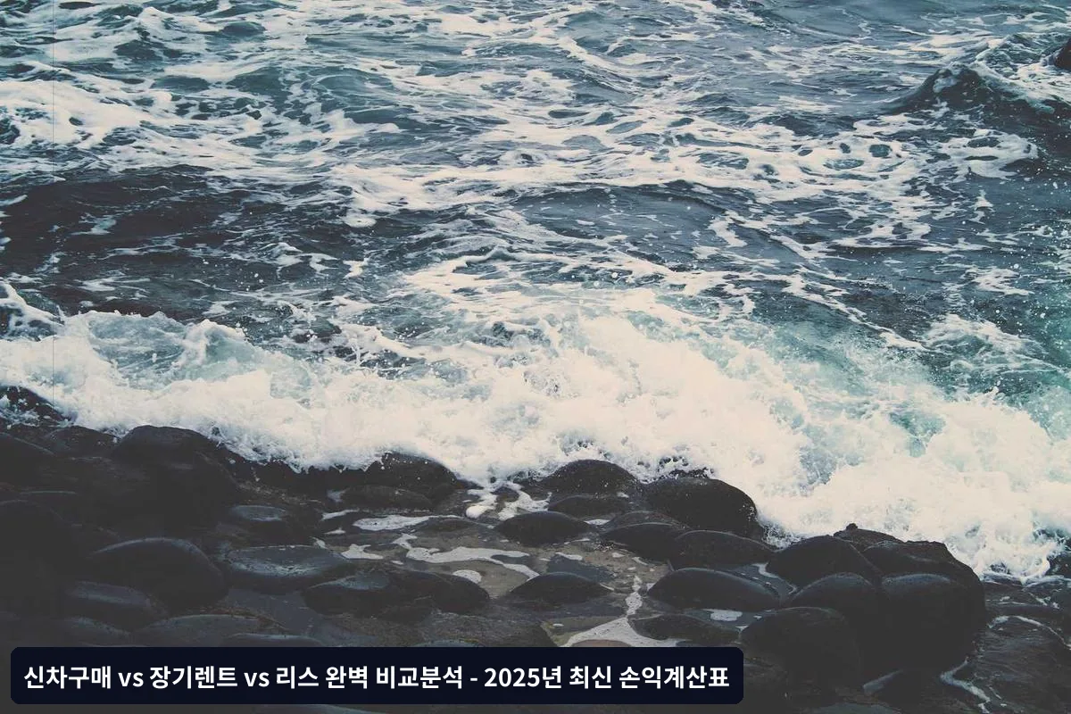 선택 전 확인사항