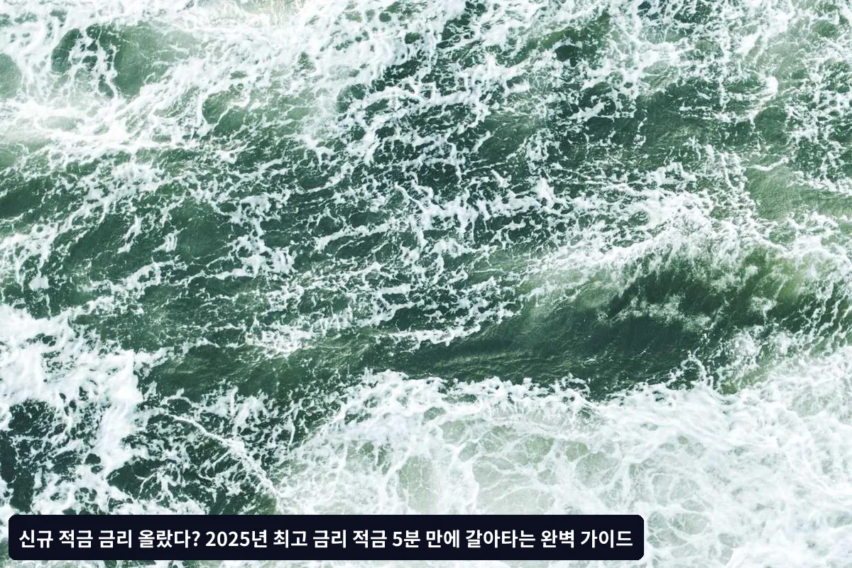 3. 가입한도와 만기 조건 확인