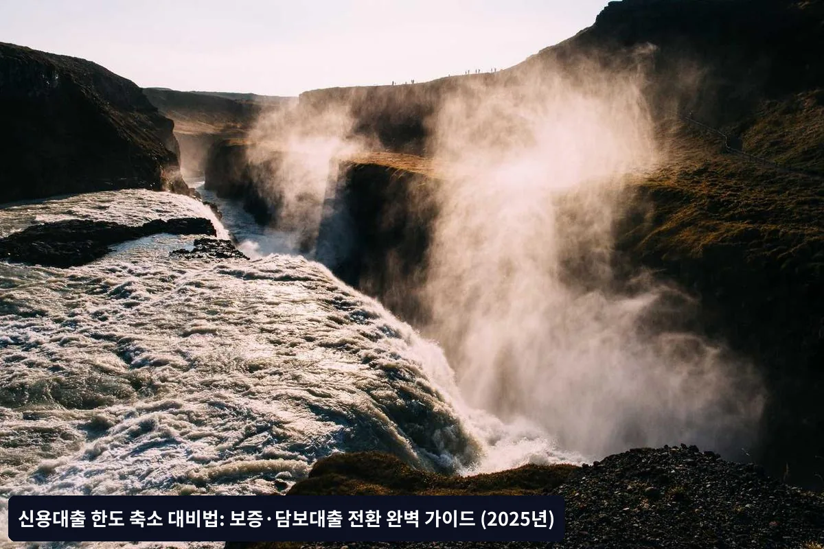 보증대출 신청 단계별 가이드