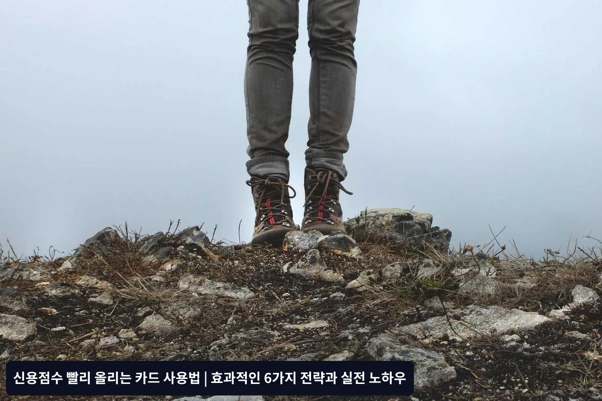 결제 이력 완벽 관리법