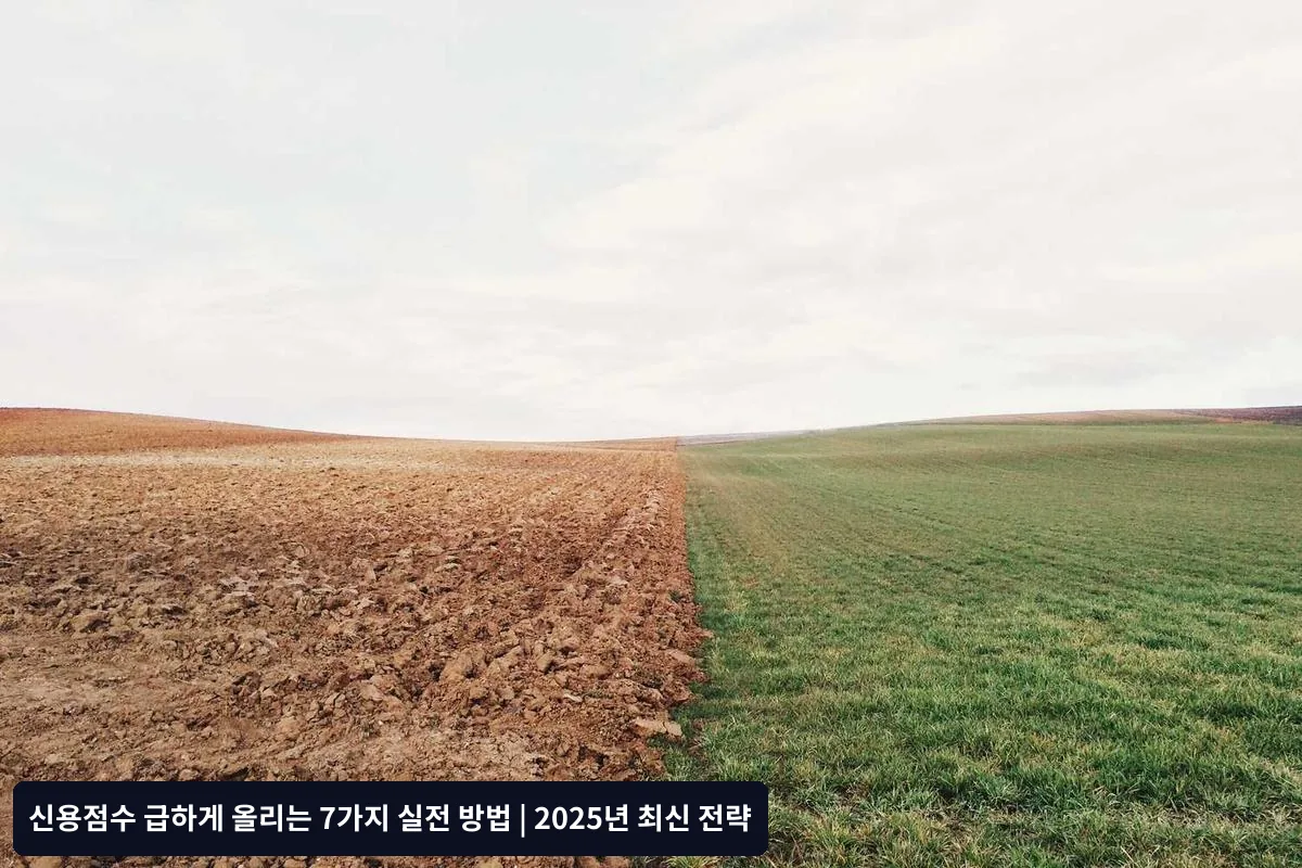 오류 정정 대상과 방법