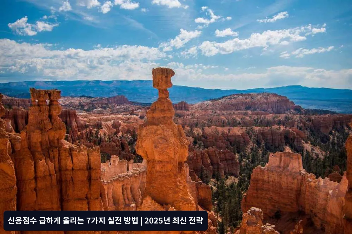 자주 묻는 질문 (FAQ)