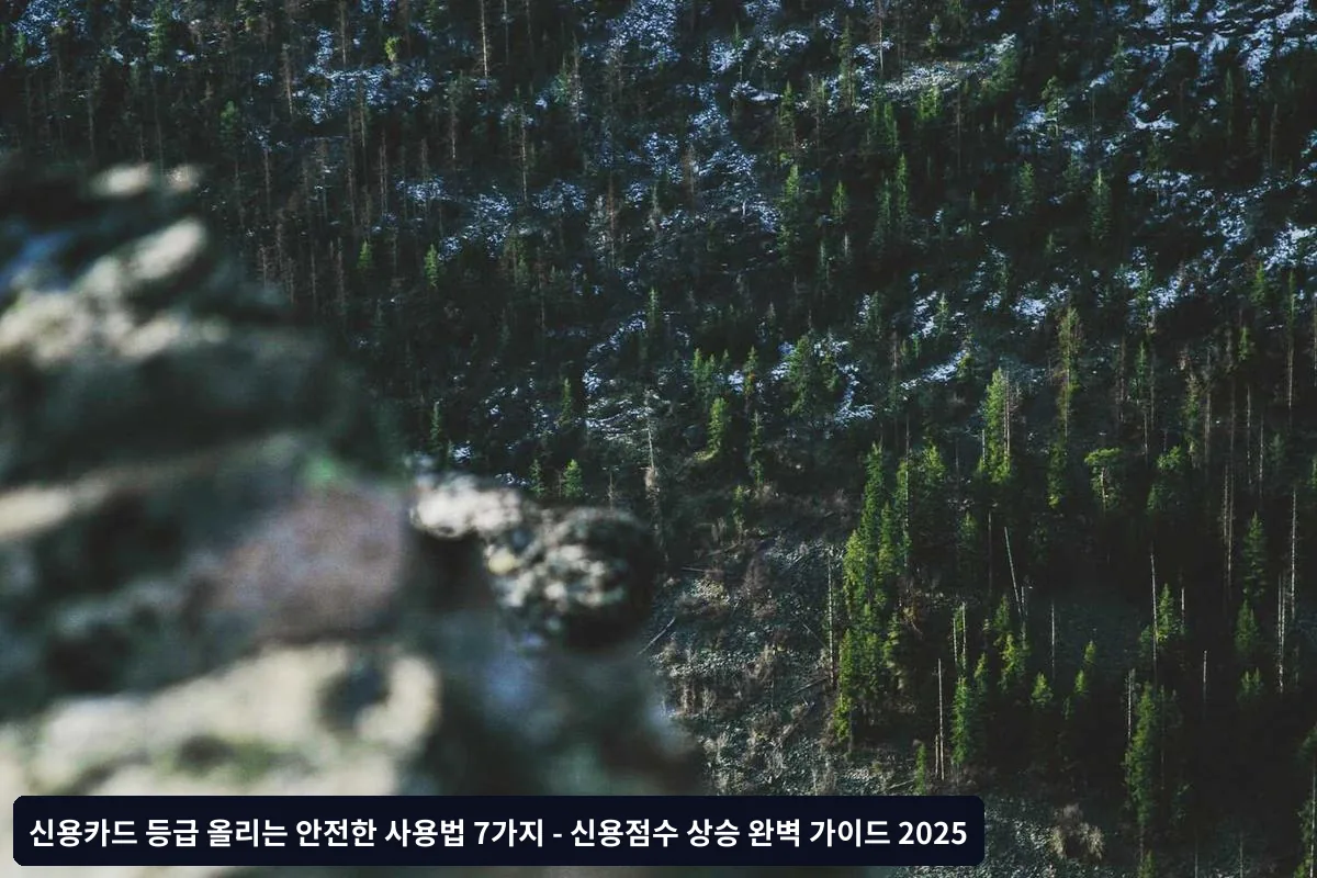1. 결제일 준수와 전액 결제 원칙