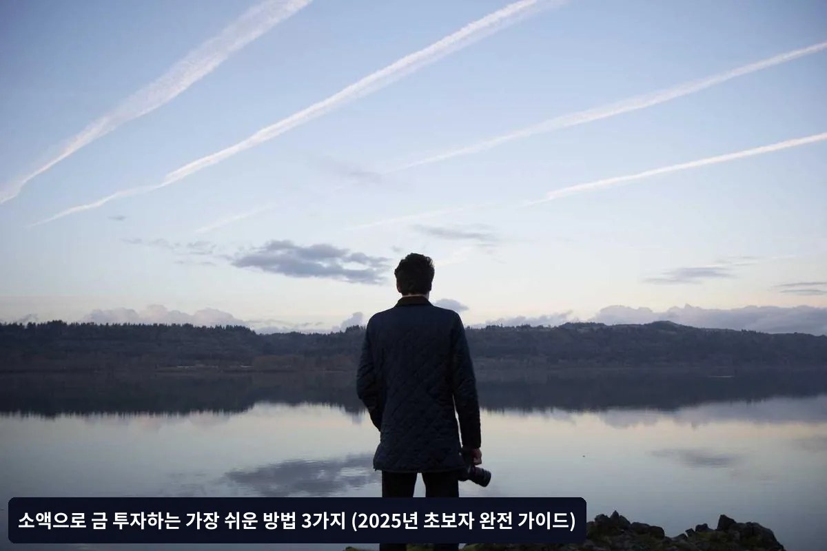 금 투자의 한계점