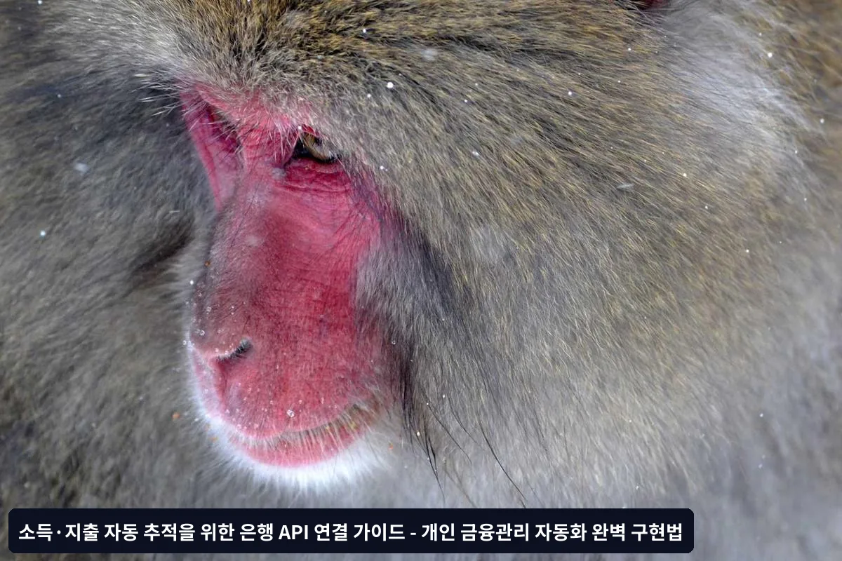 활용 사례와 실제 구현 경험