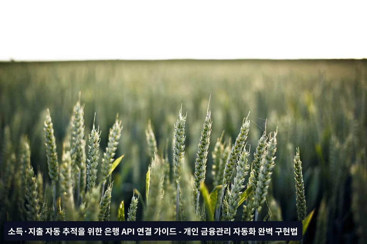 Q: 개인이 오픈뱅킹 API를 사용할 수 있나요?