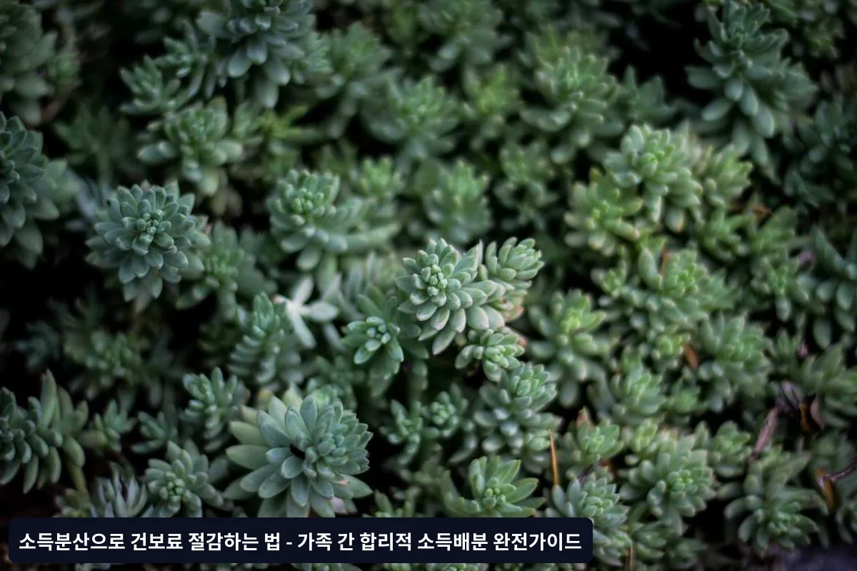 업종별 소득분산 사례