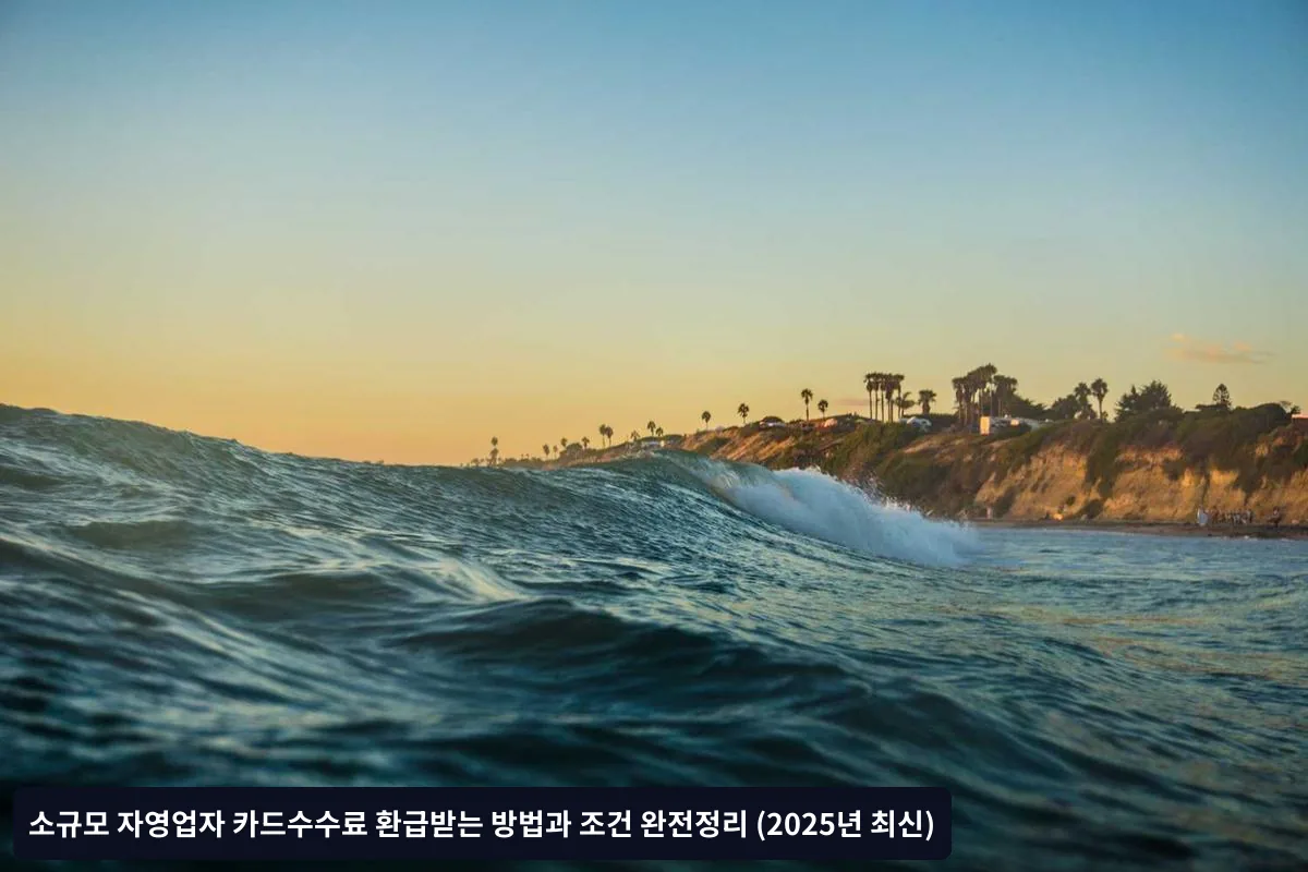 환급 한도 및 비율