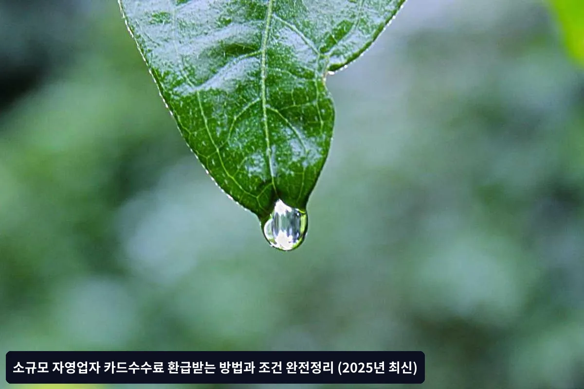 환급받지 못하는 흔한 실수들