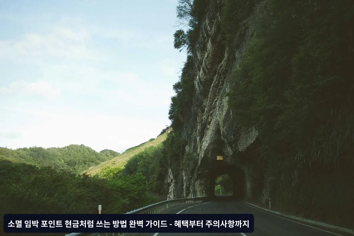 3. 통신비 및 공과금 납부
