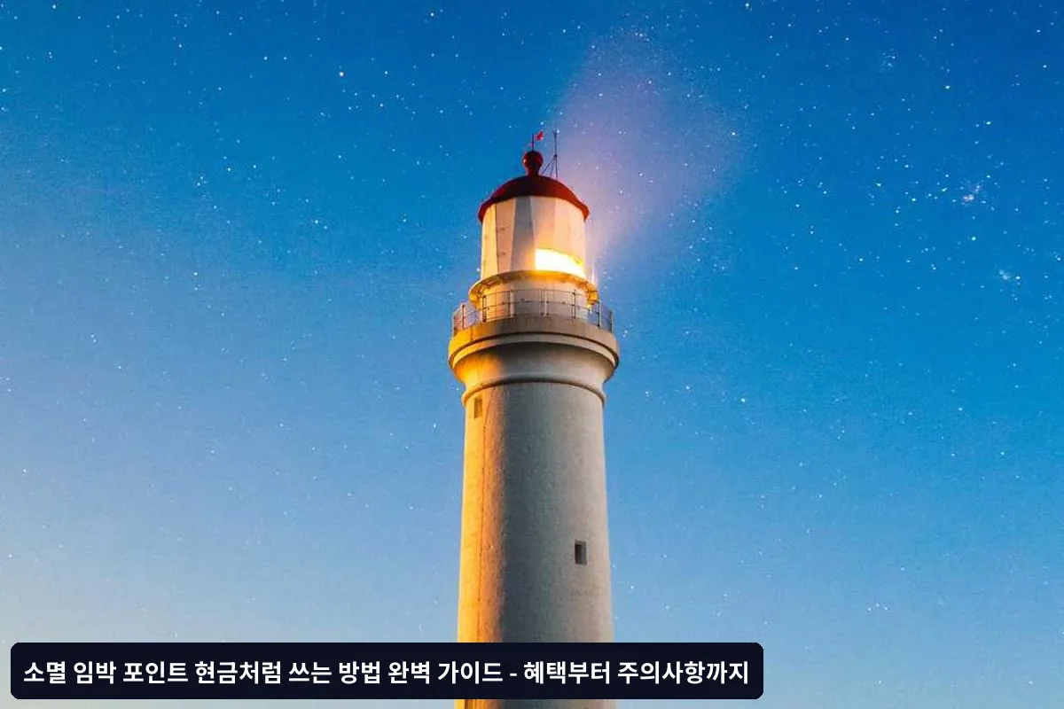 포인트 종류별 최적 활용 전략