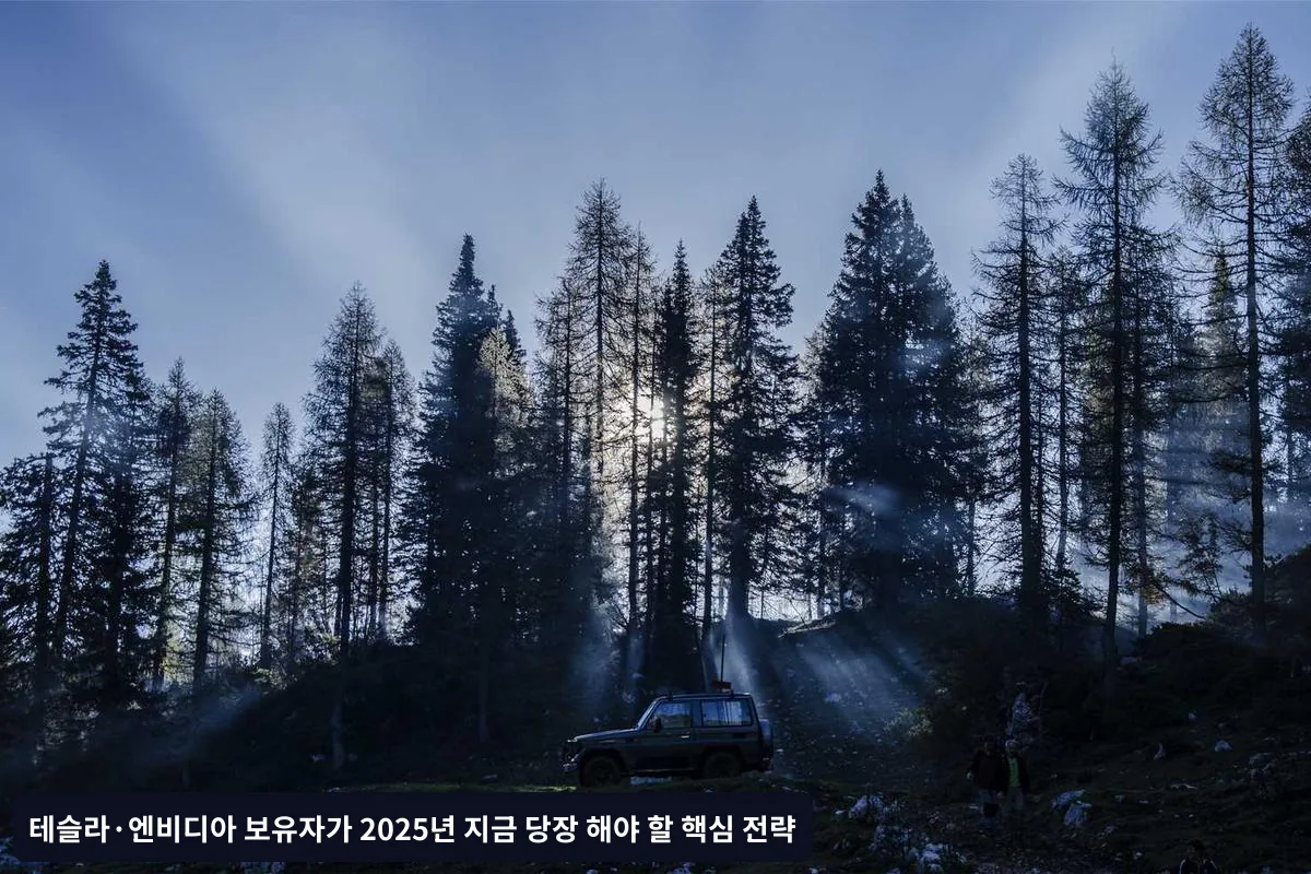 시장 상황별 대응 시나리오