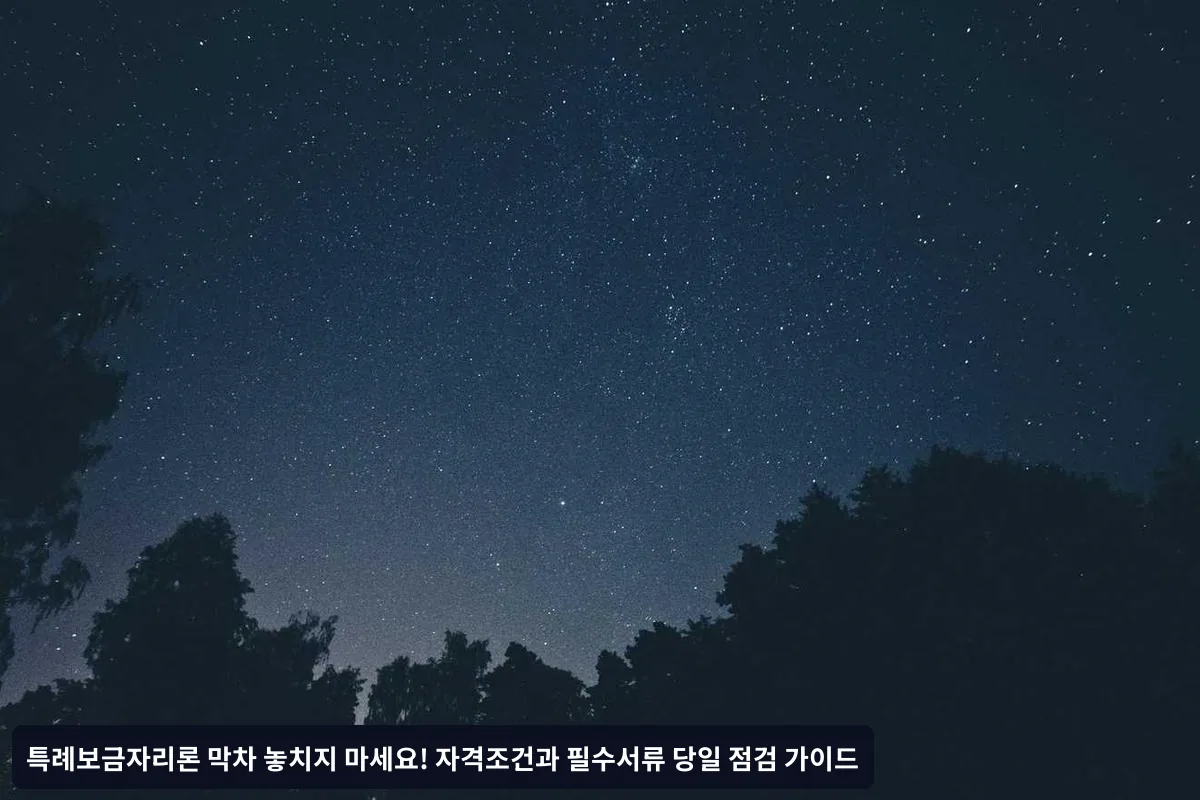 기본 자격조건 체크리스트