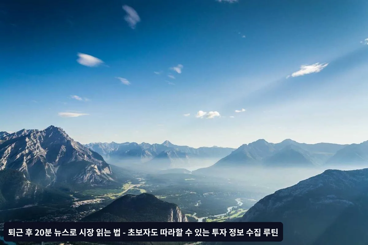 시장 과반응 vs 적정 반응 판별법