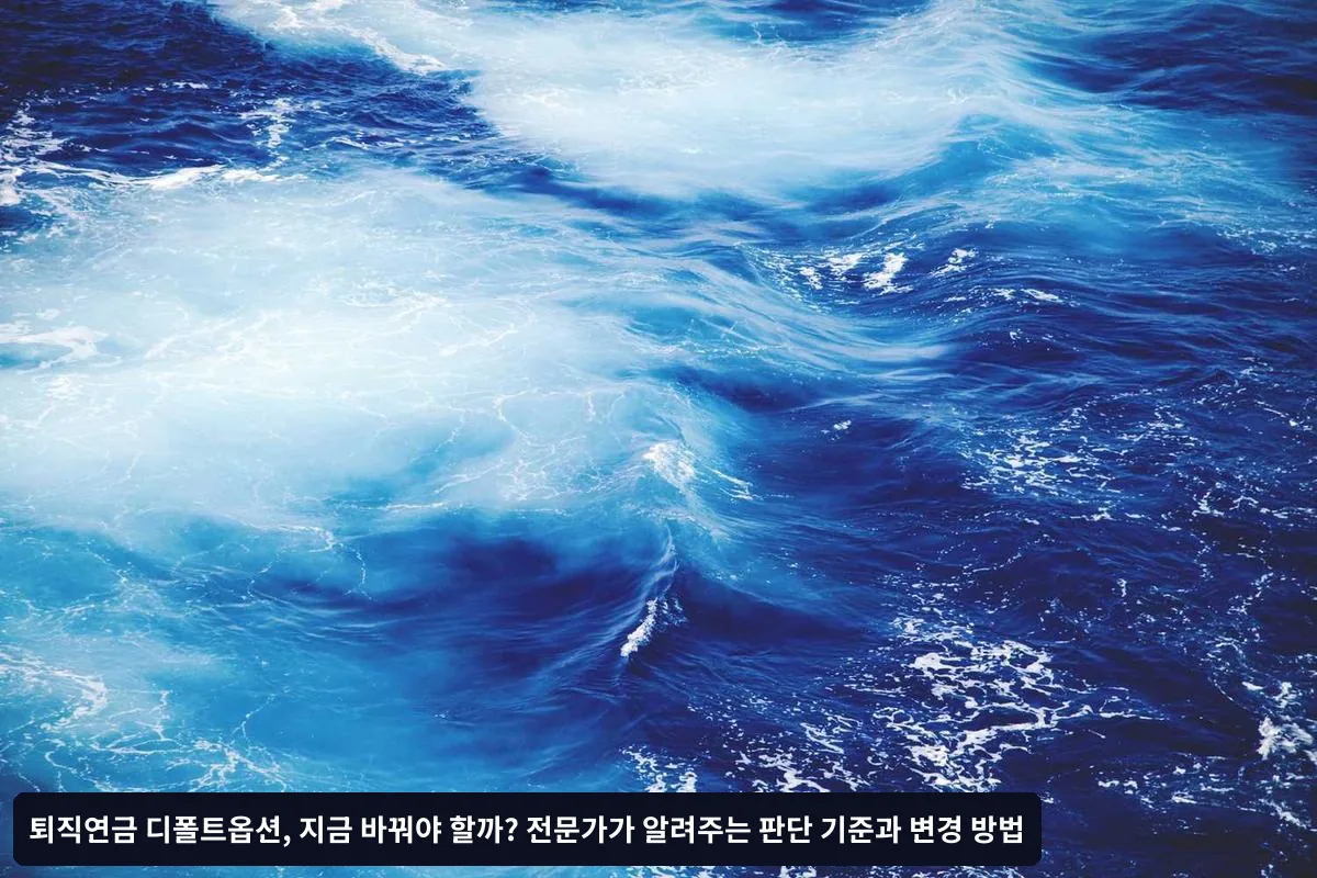 디폴트옵션의 숨겨진 문제점들