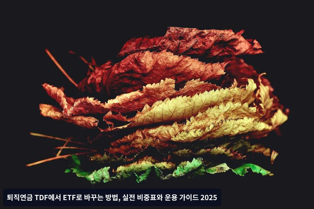 TDF의 한계점과 ETF 전환의 필요성