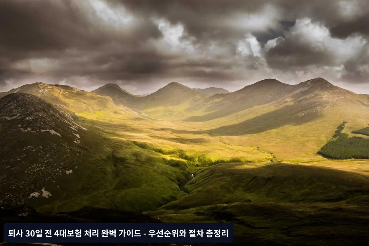 4순위: 산재보험 (회사에서 자동 처리)