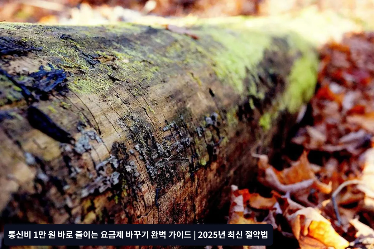 내 통신 사용 패턴 분석하기