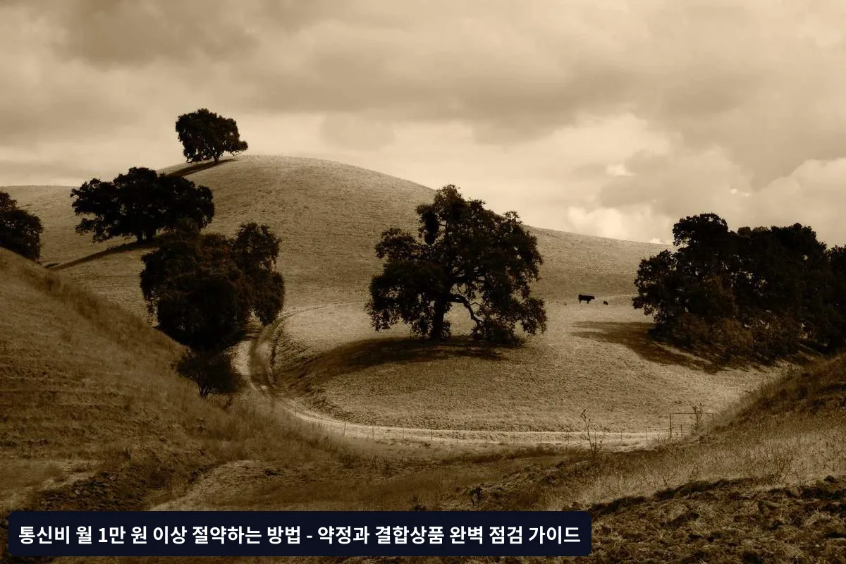 가족 단위 할인으로 절약 극대화하기